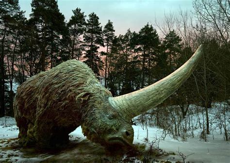Giant Rhinoceros Elasmotherium A Prehistoric Rhino