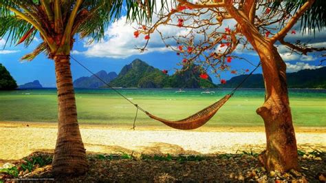 Caribbean Beach Wallpapers And Images Wallpapers Pictures Photos 43