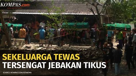 Hingga saat ini, pln telah berkembang dan dapat memberikan pasokan listrik yang dibutuhkan oleh masyarakat di indonesia. Teknisi Listrik Pln Bojonegoro : Satu Keluarga Di ...