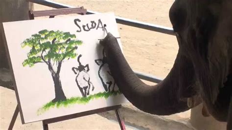 Suda Creations Genuine Elephant Painting By Elephant Elephant
