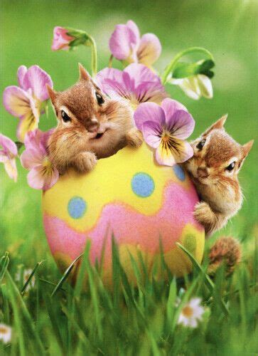 Chipmunk Easter Egg Floral Easter Card By Avanti Press Printed On