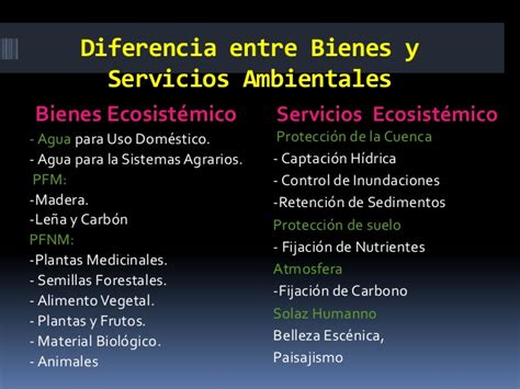 Diferencia Entre Bienes Y Servicios Cinthia Bravo Loor Ppt Mobile Legends