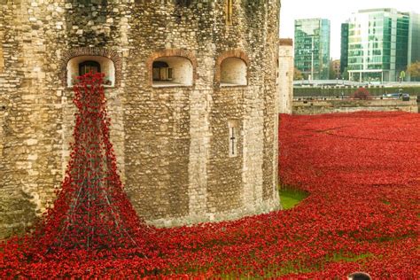 Tower Of London Poppy Display Ww1 Stock Image Image Of Black Walk