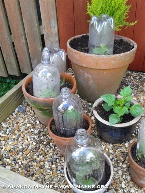 40 Brilliant Plastic Bottle Garden Ideas