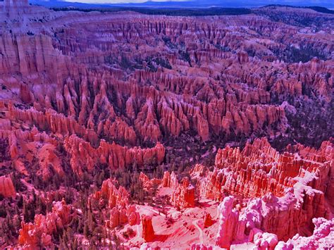 Pink Bryce Canyon Regenaxe