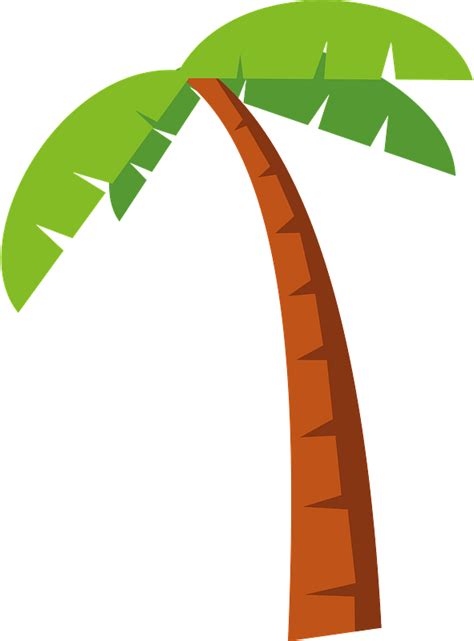 Palm Tree Clipart Free Download Transparent Png Creazilla