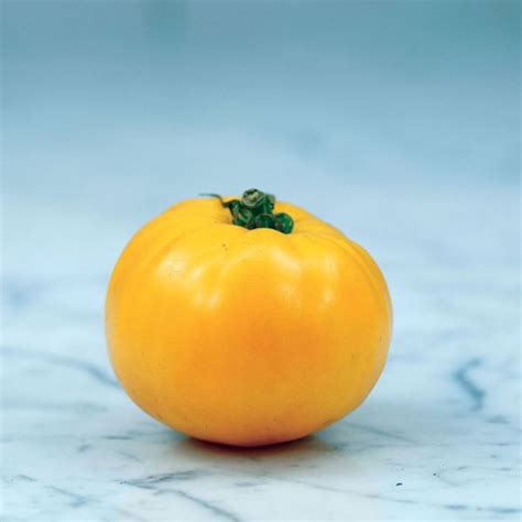 Barnes Mountain Yellow Tomato Seeds Stark Bros