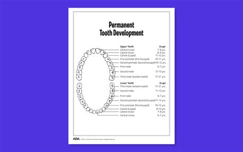 Basic Dental Health Fact Activity Sheets Mouthhealthy Oral Health