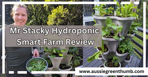 Mr Stacky Hydroponic Smart Farm Review Agt