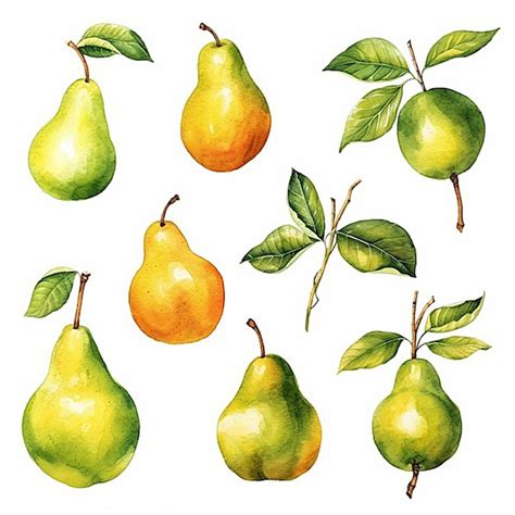 Premium Ai Image A Drawing Of Pears And Pears With Green Leaves