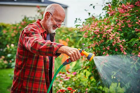 Old Man Watering Flower Stock Photos Pictures And Royalty Free Images