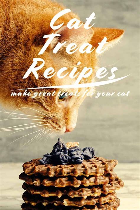 Walmart, homemade cat food for cats with allergies, best limited ingredient cat food, cat food allergy symptoms, chicken free dry cat food, fish free cat food, allergy symptoms subscribe to exfold to get the latest updates on electronic devices, beauty, health to gadgets and many more! Cat Treat Recipes - Healthy Homemade Snacks for Your Cat ...