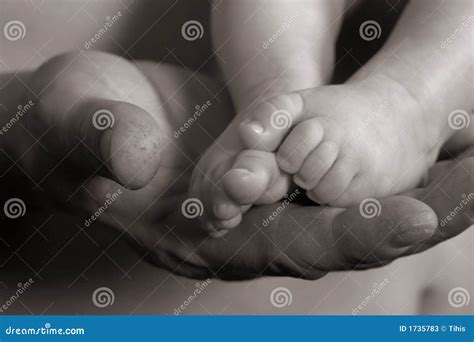 Hand And Feet Stock Image Image Of Love Lying Infant 1735783