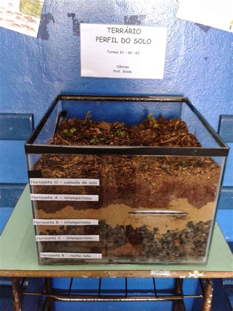 Atividade Sobre O Solo