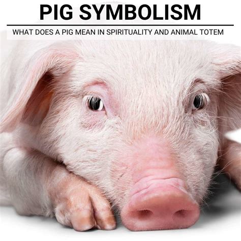 Unraveling The Mysteries Of Pig Symbolism And Interpretations