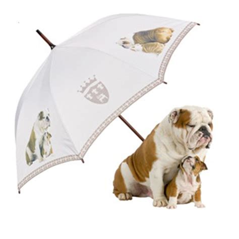 Umbrella Automatic Motif Dog English Bulldog Motive Umbrellas