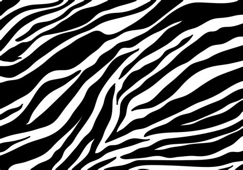 Zebra Print Background Vector - Download Free Vector Art, Stock ...