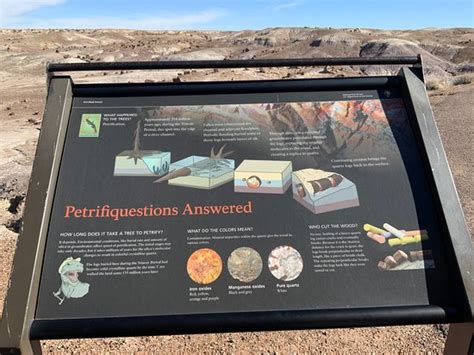 Rainbow Forest Museum Petrified Forest National Park 2020 All You