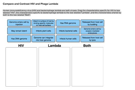 The head is about 60 nm in diameter and. Solved: Compare And Contrast HIV And Phage Lambda Human Im ...