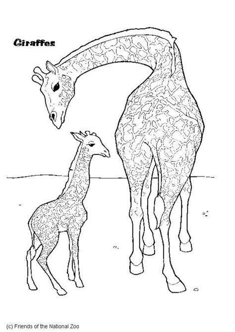 Coloriage girafe  Coloriages Gratuits à Imprimer  Dessin 5986