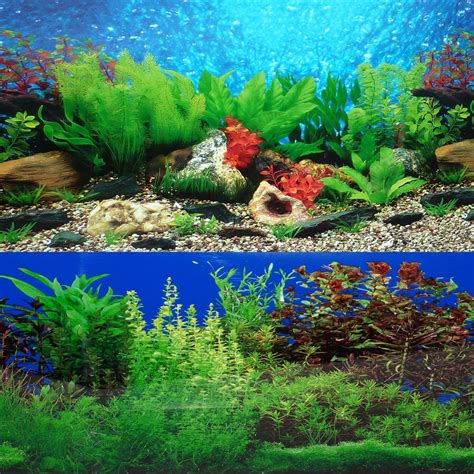 20 X 48 Fish Tank Background 2 Sided River Bed And Lake Background