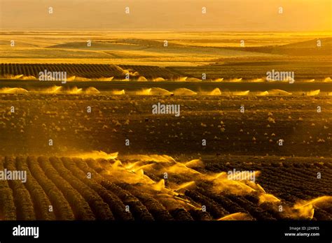 Usa Washington Mabton Vineyards And Orchards In The Yakima Valley Depend On Irrigation Stock