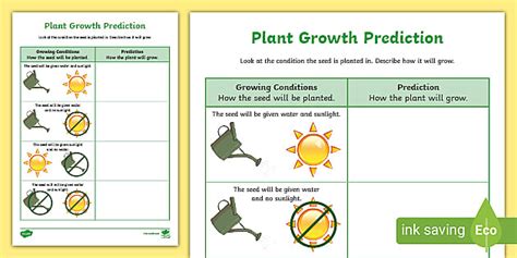 Plant Growth Prediction Worksheet Teacher Made Twinkl