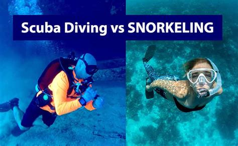 Which Of The Following Indicates Scuba Diving Or Snorkeling