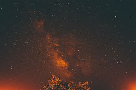 The Milky Way And Night Sky With An Orange Hue Miky Way And Tree 4k Hd