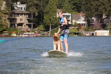 Photo Contest Deadline Approaches Lake Oswego Or Patch