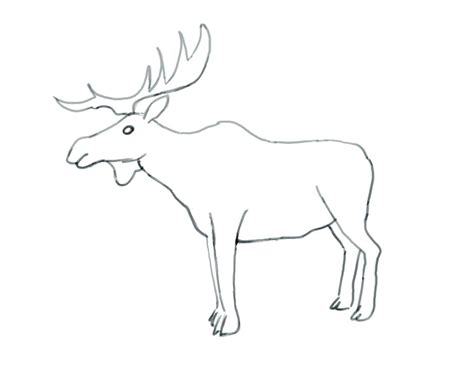 The reindeer, also known as the caribou. Reindeer Antlers Coloring Pages at GetColorings.com | Free ...