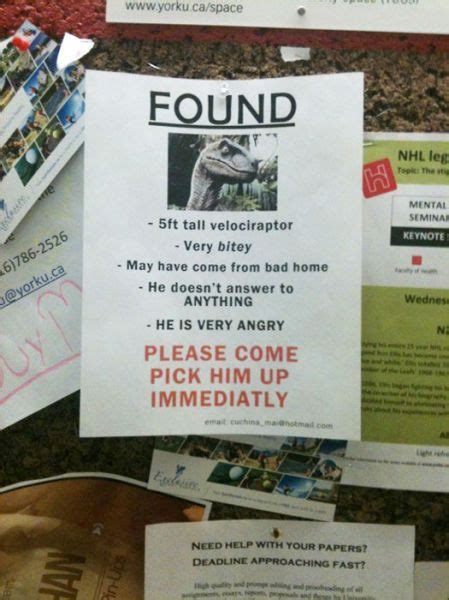 Funny Lost And Found Signs 20 Pics