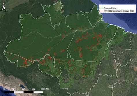Record Deforestation In Brazil Highlight Need For New Eu Import Law