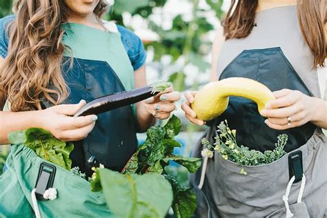 If you have backyard space to create raised beds, i encourage you to do so. Beginner Gardening Series: May Edition | Roo Apron