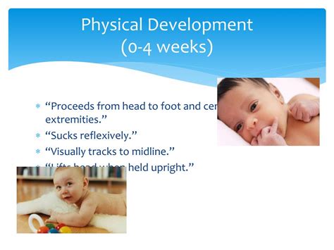 Ppt Infancy And Toddlerhood Birth To 3 Years Powerpoint