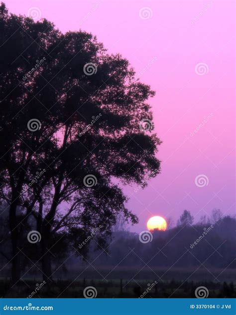 Sunset At A Foggy Evening Stock Photo Image Of Horizon 3370104