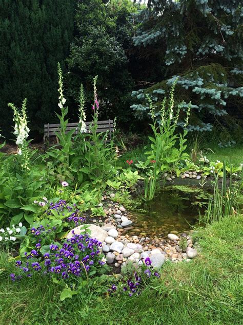 A Small Backyard Pond As A Water Feature Great Idea For Wildlife Garden And Tranquil