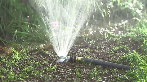 Watering Grass Seed Betyonseiackr