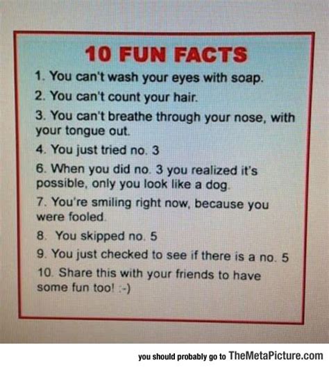 Fun Facts You Probably Didnt Know