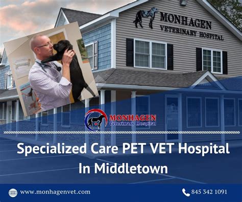 Specialized Care Pet Vet Hospital In Middletown Monhagen Veterinary