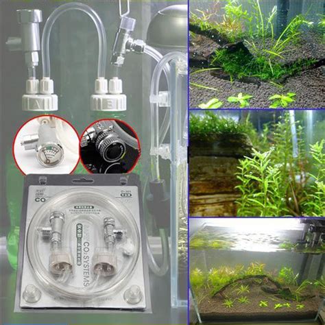 Check spelling or type a new query. Professional D301 Aquarium Water Plants DIY CO2 Generator System Kit
