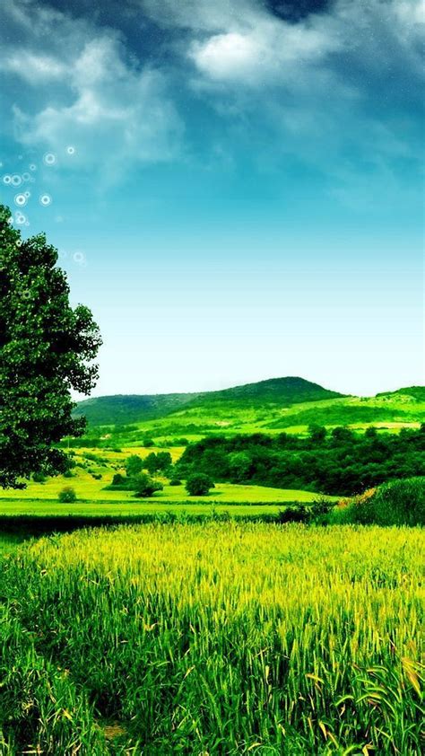 Wallpaper Android Nature Green 2021 Android Wallpapers