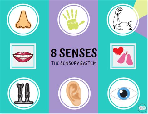 An Image With The Words 8 Senses In Front Of It And Images Of Different