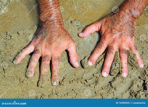 hairy man hands on beach sand in sunny summer stock image image of relax hairy 16585055