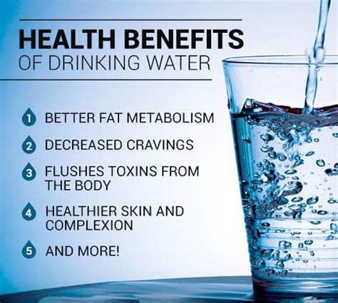 Crazy Water Facts I Bet You Dont Know Infographic Benefits Of Drinking Water Drinking