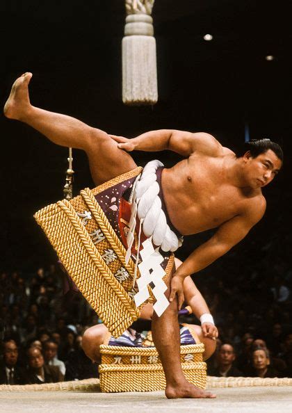 10 Best Sumo Wrestler Images Sumo Wrestler Japanese Culture Martial