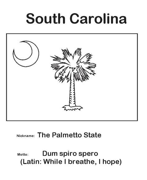 Most children love coloring the flag of the country or state they're studying which helps make the class fun. USA-Printables: South Carolina State Flag - State of South ...