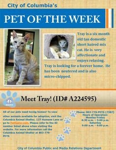 Learn more about city of columbia animal services in columbia, sc, and search the available pets they have up for adoption on petfinder. City of Columbia, SC (wearecolumbia) on Pinterest