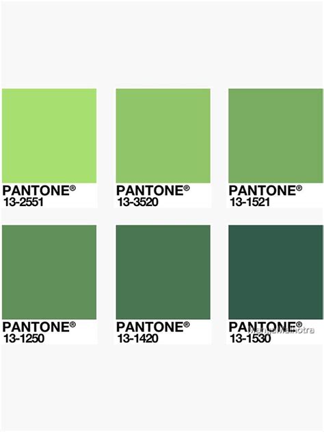 Shades Of Green Pantone Swatches Sticker For Sale By Manyamalhotra