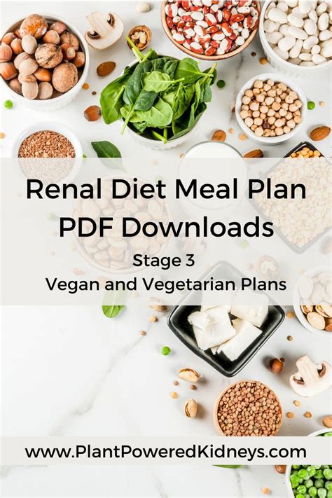 Renal Diet Meal Plan Pdf Downloads For Stage 3 Ckd Meal Planning